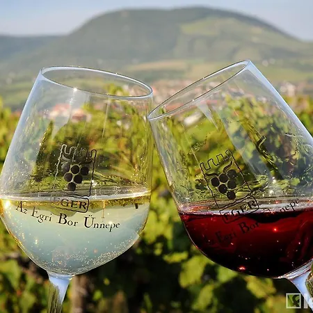 Netta شقة إغير