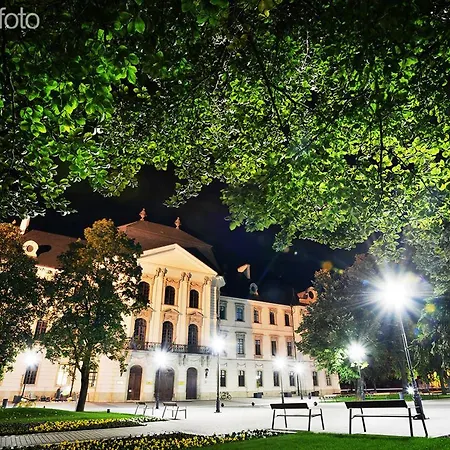 Apartman Netta *